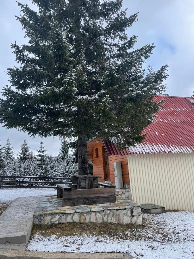 克尔斯塔季奇简易别墅酒店 Žabljak 外观 照片